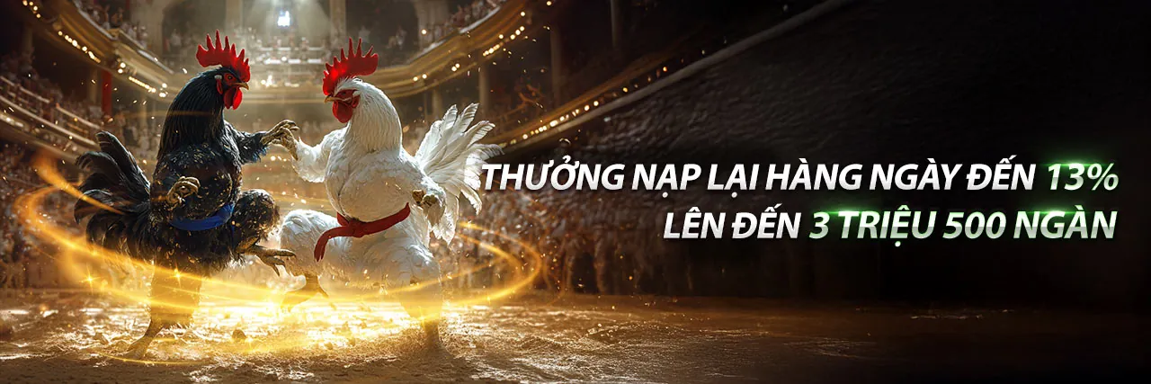 Đá gà trực tuyến kịch tính tại sutbong123 nổ hũ