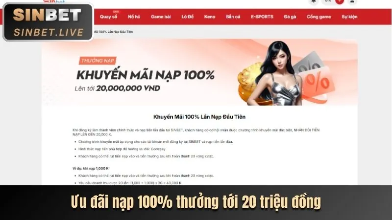 Chương trình hoàn trả VIP